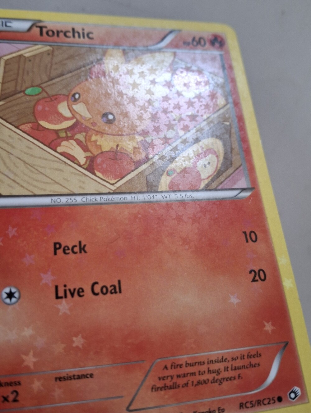 Torchic RC5/RC25 Legendary Treasures Radiant Collection Pokemon Card Promo